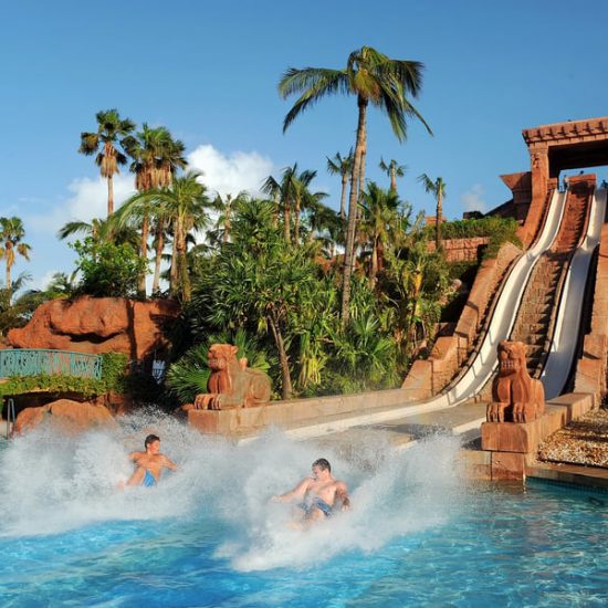 7wcsxreqzgfwfd7icvmvparvwni8_1465888976_ap5