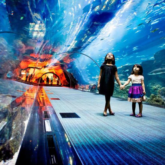 mdwtuqrljud74nevwh77dxmj2w1n_1510832673_Dubai-Aquarium-Underwater-Zoo-Planet-Rovers-1